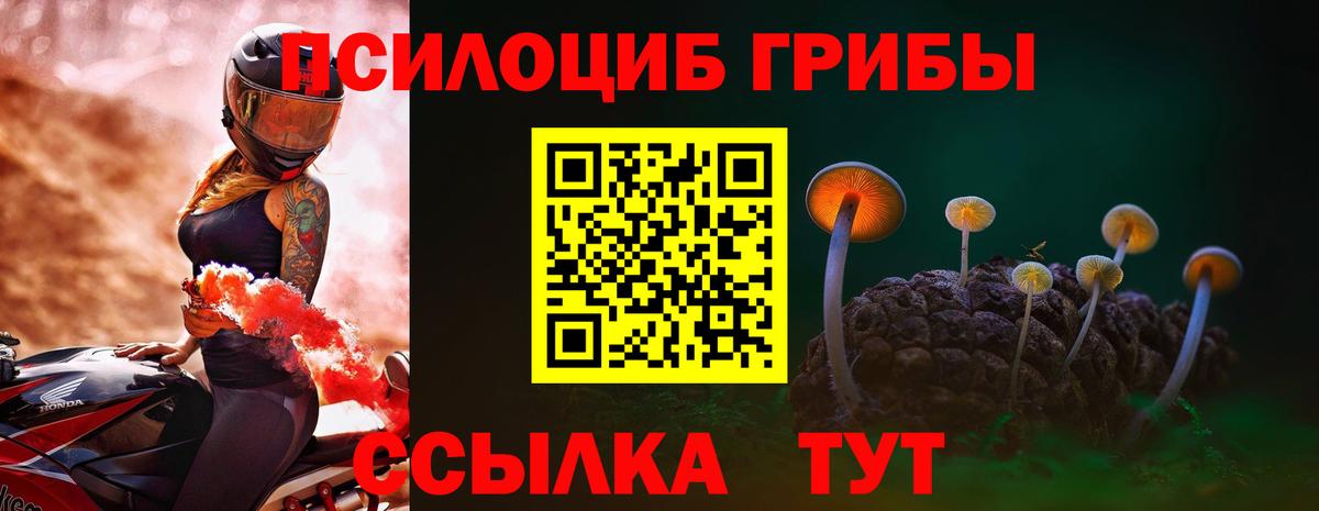 Самара  Псилоцибиновые грибы мицелий  Вход с VPN 